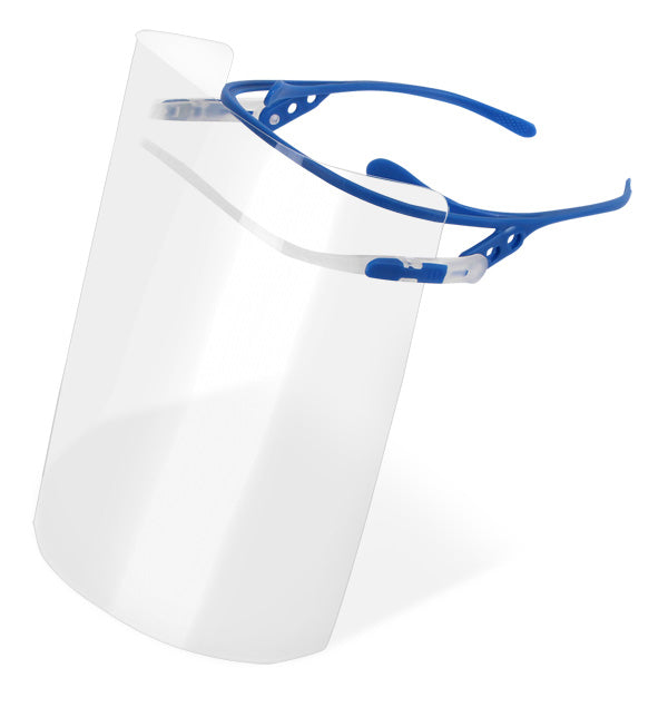 VISOR FRAME INC 10 VISORS